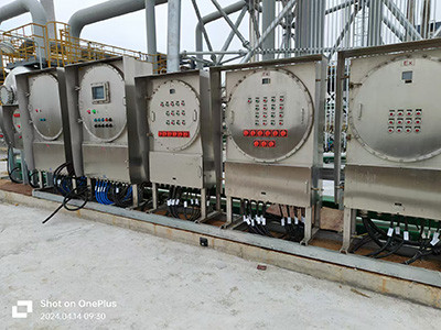 江蘇德邦-高架火炬圖片2